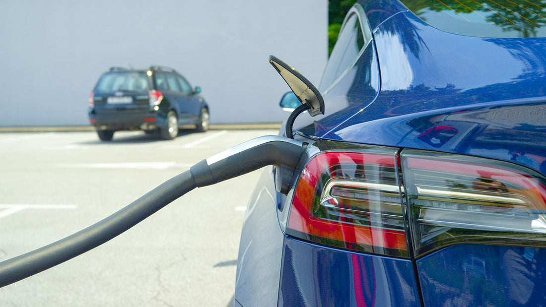 A Tesla Model 3 parked on a sunny Sherman Oaks street lined with palm trees
